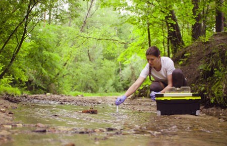 Wildlife and Wildlands Science and Management Major