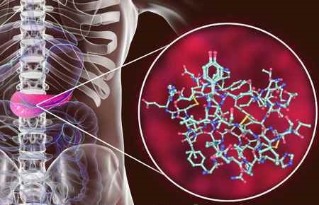 Molecular Biology Major