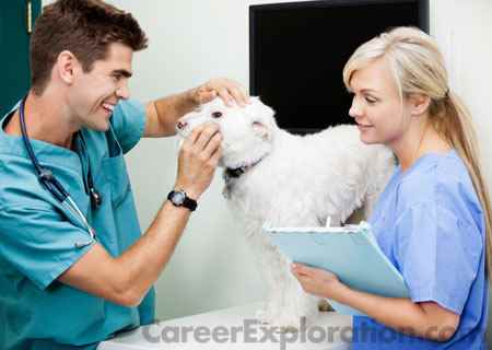 Veterinary/Animal Health Technology/Technician and Veterinary Assistant Major